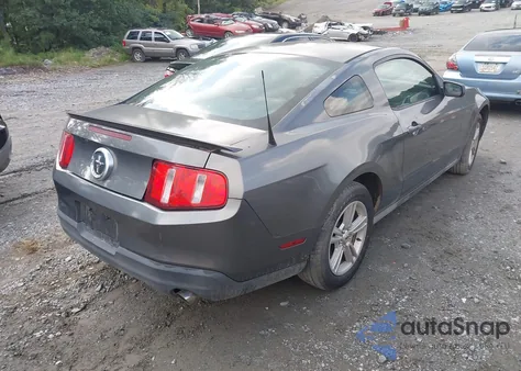 2010 Ford Mustang V6/V6 Premium z USA, uszkodzony, nr VIN 1ZVBP8AN9A5181906